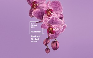 Radiant Orchid, Pantone Color of the Year 2014