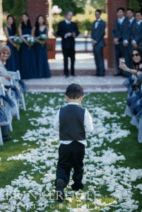 Ring Bearer