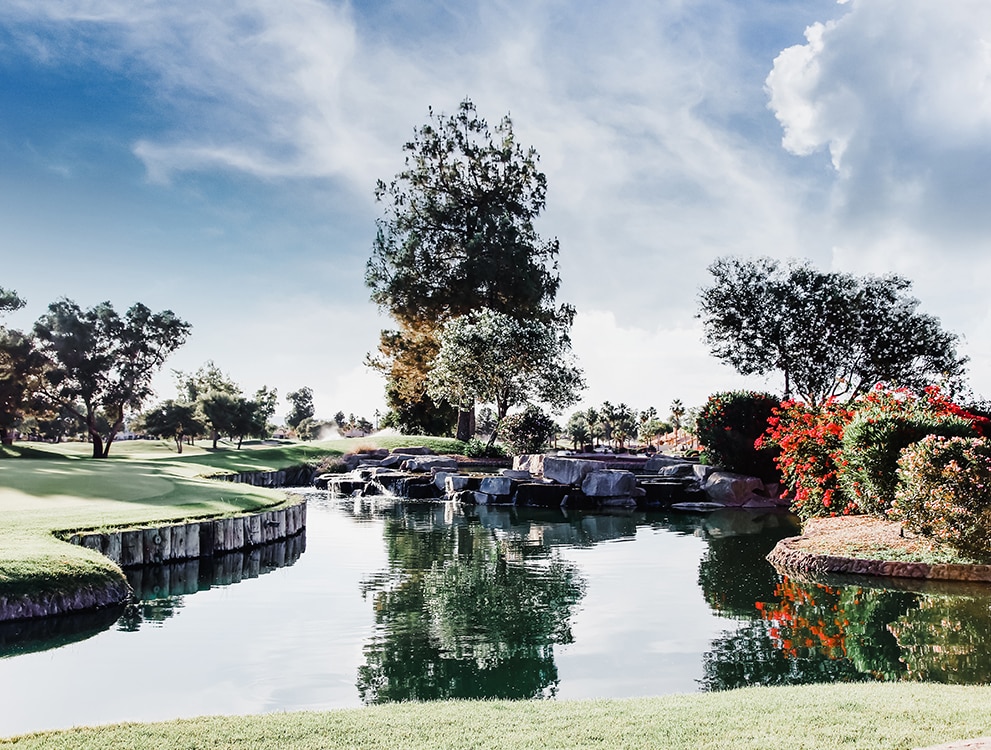 Phoenix AZ Wedding Venues Ocotillo Oasis Photos